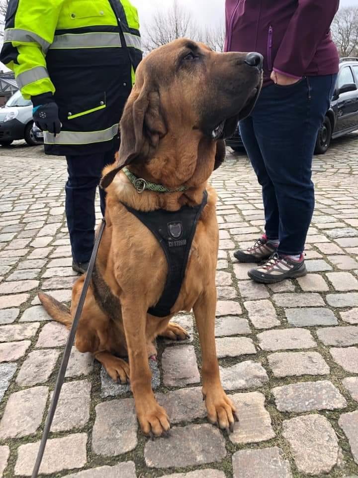 Einsatz 14/2019: TH Personensuche