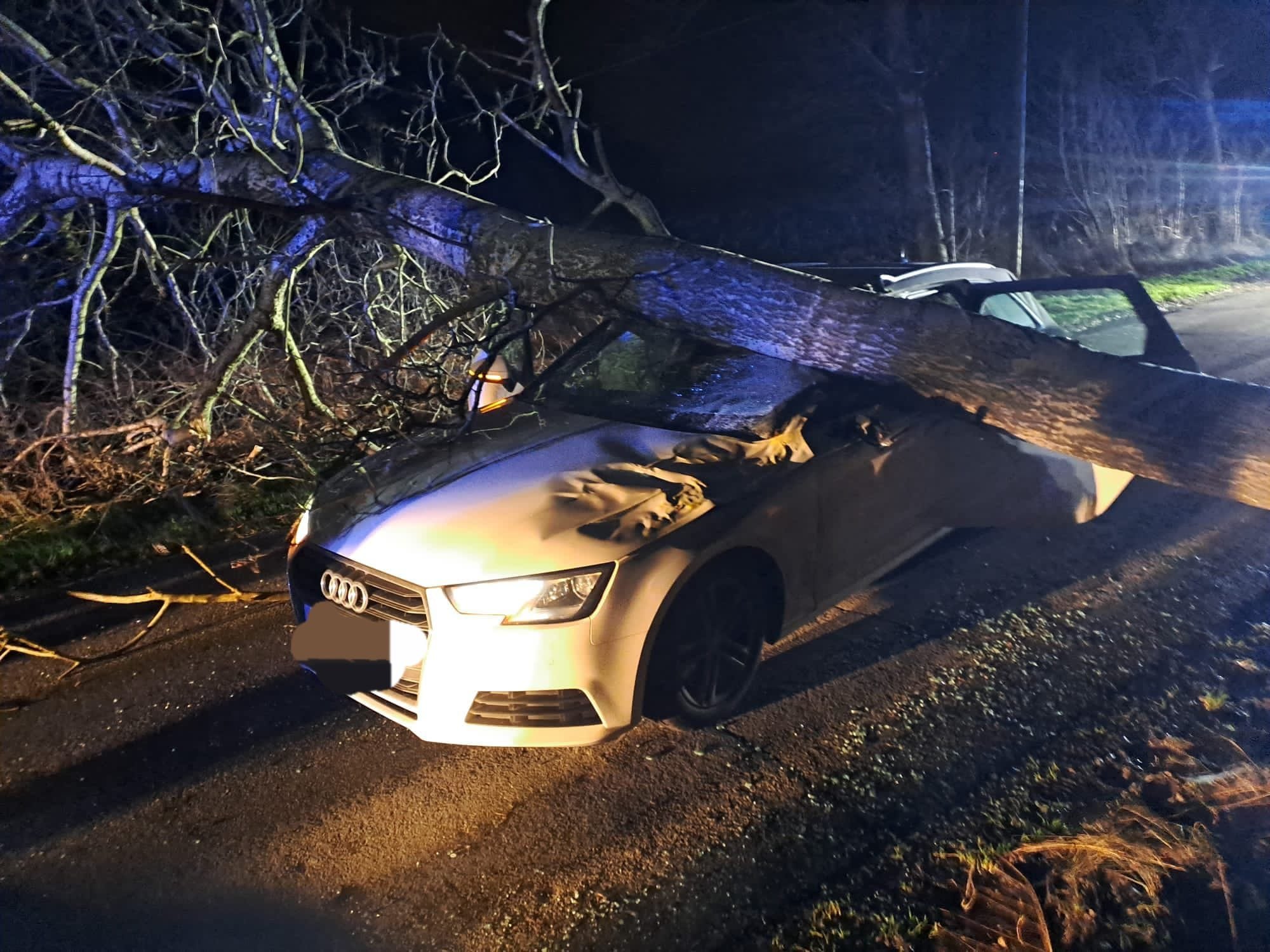 Einsatz 23/2023: TH-Y PKW unter Baum